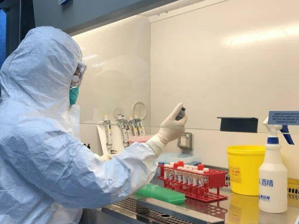 表面微生物、致病菌檢測